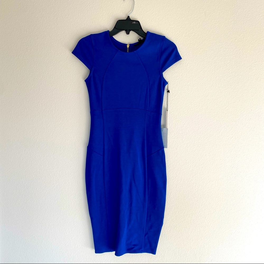 NWT Felicity &Coco Ward Seamed Pencil Dress ZIPPER